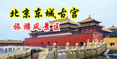 8x视频中国北京-东城古宫旅游风景区